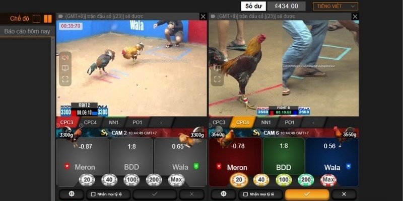 Mẹo dùng AI chọn gà có tỷ lệ thắng cao trên Kubet